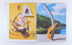 David Brandon Geeting – Amusement Park – Signed Copy 2018