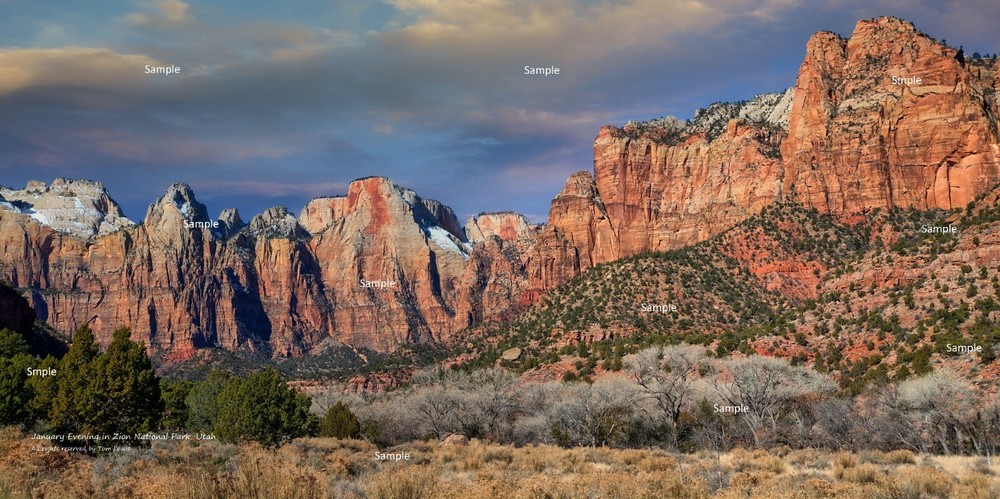 Zion National Park Utah January Winter #14 Poster Photo Print ZP02