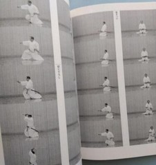 Japanese Sword Kendo Arts Iaido Iai do Photo Book textbook Ogura Noburo Katana