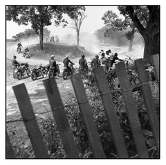 DANNY LYON signed photograph – 2021 Magnum Square Print – harley davidson