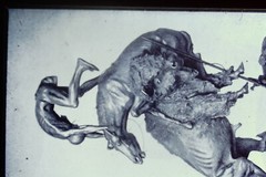 Vintage Art History 35mm Glass Slide Frederic Remington The Buffalo Horse 1907