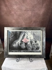 a Beautiful Flammella Fance Anelli Framed Photo Stone Feet With Rose