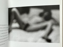 🎈SIGNED! Daido Moriyama – PHAIDON COLLECTION 55, First Limited Ed 2001 MegaRARE
