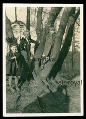 2x Hamburg Harburg House Break 1933 – Children in the Forest – Photo 6x8cm