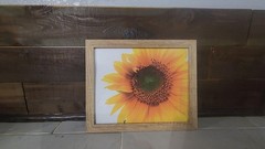 8×10 Sunflower Photograph Print – Original Nature Art Matte Photo Wall Decor