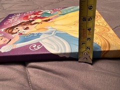 Disney Princess Believe In Your Self Approximately 6.5×8.5 Canvas