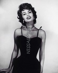 Sophia Loren 8×10 REPRINTS
