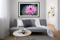 Pink Water Lily 01 XL Giclee Fine Art Print 20 x 30 inches unframed