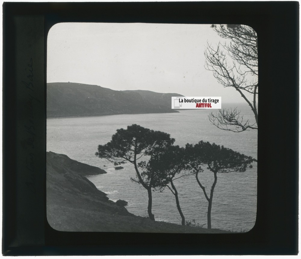 Landscape, Sea, Pines, Nature, Old Photo Glass Plate, Positive 8.5X10 Cm