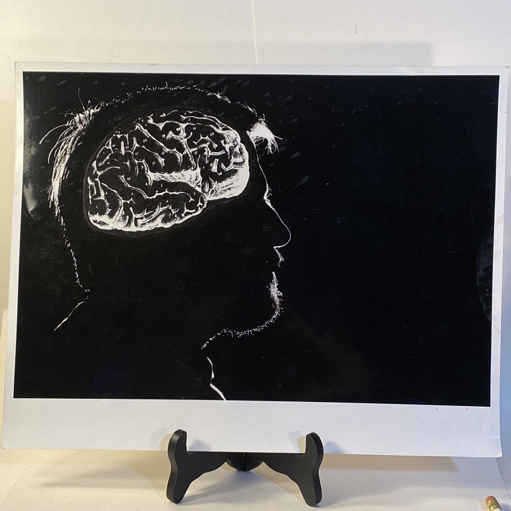 Photograph 11 X 14 Original c1980 Black & White Glossy Student Art