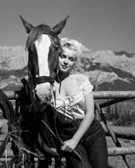 Marilyn Monroe with Horse in River of no Return Movie 1954 Photo Print Poster