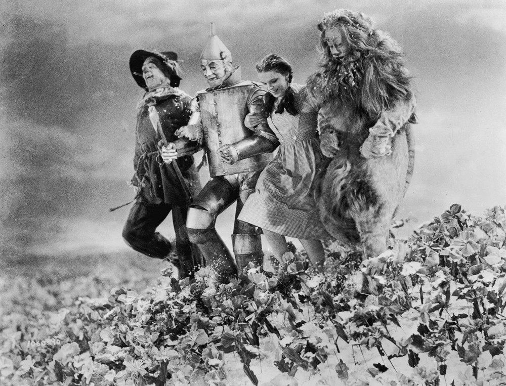 Wizard Of Oz Out Of The Woods Photo Poster 13×19