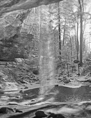LANDSCAPE 8.5×11 or 13X19 COLOR OR B&W, BORDERLESS **FREE SHIPPING**