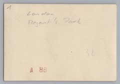 London England – Regent’s Park Tiger Enclosure Zoo – Vintage Photo