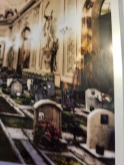 Andrew Mosedale Signed Cemetary Ballroom Photograph in Matte 12 x 9 FREE SHIP!!!