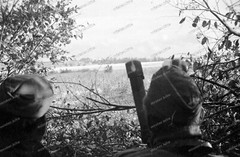 Negative-Tarutino-Kaluga-Russia-Inf.-Reg.253-Position-Soldiers-WW2-400