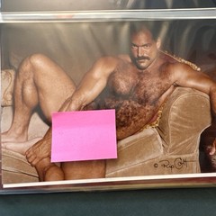 Carl Hardwick Jim French Colt Studio Lot of 18 5×7 Color Prints Nude Gay