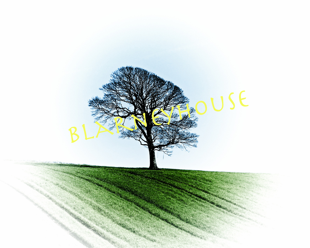 BEAUTIFUL PHOTO OF LONE TREE IN A GREEN FIELD!! IRELAND