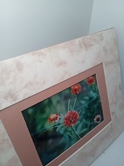 Marigold Double Matted Photo 3.5×5 in 8×10 Matted Frame Includes Hanging String