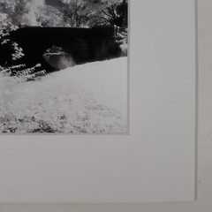 White Mat Photo Landscape Park Infrared Photography Bridge Trees Art Print