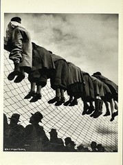 Emil Heilborn 1934 Art Photo Print Card By Fotofolio 4”x6” Dog Exhibition