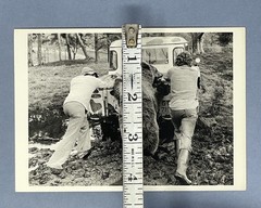 Bear Pushing Truck Art Photo Print Card By John Drysdale Fotofolio 4.25”x6”