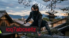 Digital Image – Wallpaper Background Art – Ninja Warrior on Rooftop