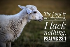 Sheep Religious Poster Psalms 23:1 Multicolor Horizontal Paper for Any Room