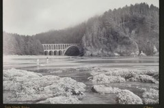 Tom Adams Nature Photography Cape Creek Bridge Oregon B&W Photo Art 11X14