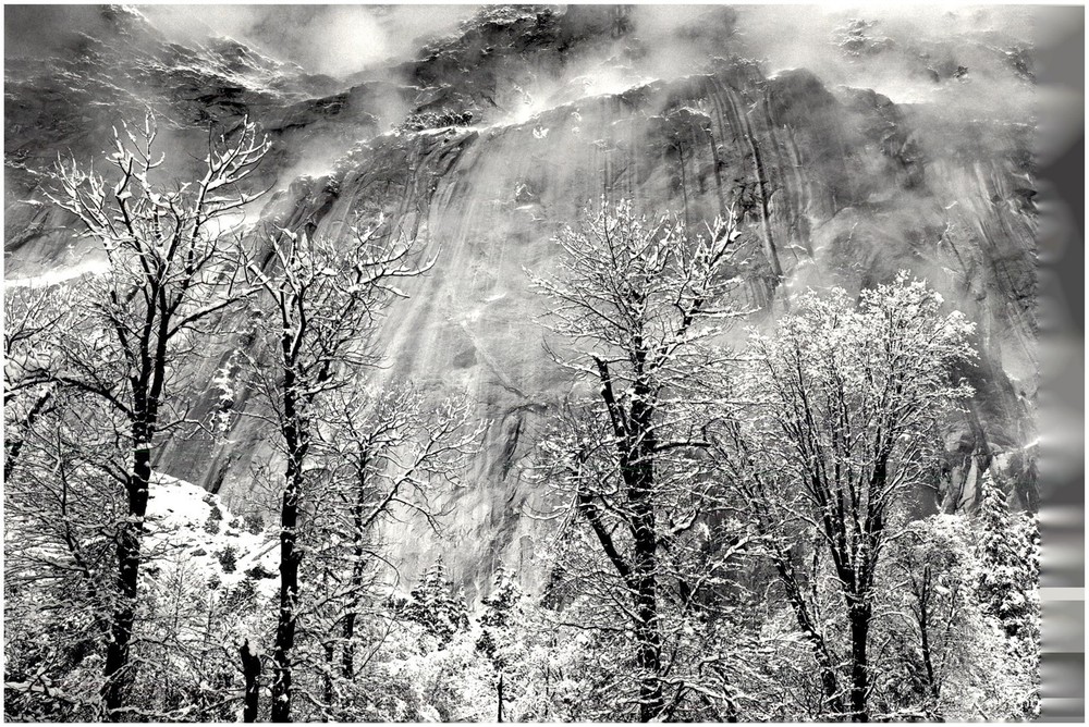 1935 1990s Ansel Adams Trees and cliffs of Eagle Peak Yosemite Large Art Photo