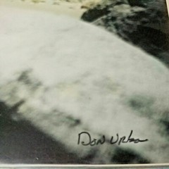 Polar Bears Playing-Don Urban Original Nature Photography-12″ X 16″