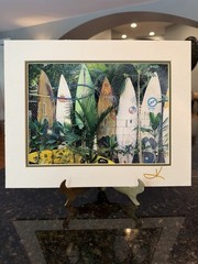 Surfboards Photo 14×11 Signed By Photographer See Details