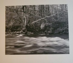 SOFT WATERS LARGE ORIGINAL SIGNED ART PHOTO B&W STETTNER VTG MATTE NJ CAMERA