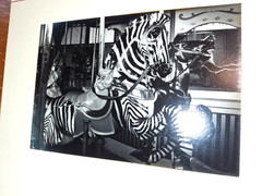 Vintage Gelatin Silver Fine Art Photography Print Signed 8×10 COA 1978 B+W Photo