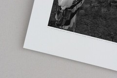 Fine Art B+W Photograph NUDE Ballerina w/ Dagger & Birds Signed Ltd Edition COA