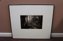 Pencil Signed David Malcolm Scott Woods Sunshine Framed Original Photograph
