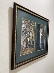 Set of Photos Framed Banff and Jasper National Parks Photos Canadian Rockies
