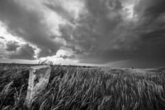 Limestone Marker Photography Print: Kansas Black & White Western Prairie Photo