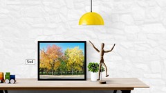 Fall Trees 1, High Resolution Image, Many Formats, TV Art