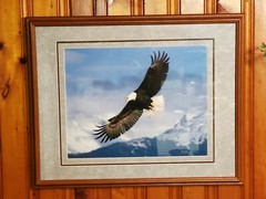 Millcreek Wildlife Reflections Eagle Photo Hand Signed Framed 19 3/4×16″ 24″x30″