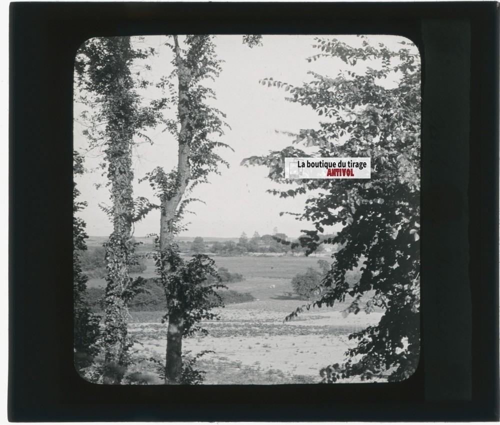 Landscape, Countryside, Nature, Old Photo Glass Plate, Positive 8.5X10 Cm