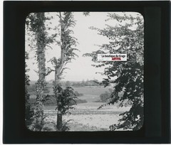 Landscape, Countryside, Nature, Old Photo Glass Plate, Positive 8.5X10 Cm