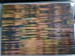 Joe Cruz Photography Florida Wekiva River Sunset Art New Landscape Nature