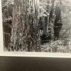 Blair Pittman: «Old River» – Original Gelatin Silver Print Photograph
