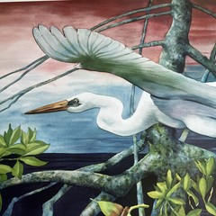 Egret In Flight: Fine Art Print “ Quiet Sunset” Vernon L Good 24.5 X 35” Overall