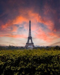Digital Image Picture Photo Pic Wallpaper Background Eifel tower Sun Rise 6