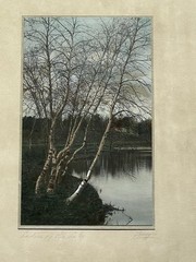 Charles Sawyer «Ladies Of The Lake» Hand Colored Photo Nutting Peer