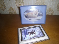 Pictures Deer and fox in winter Two Glass framed About 6 x 8 inches
