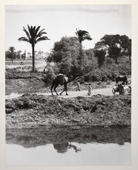 J.W. Howlett Black + white Photograph focusing on a Group of Travelers W/ Camel