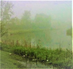 Archival Print of Original Color Landscape Photograph – 11 x 14 inches 